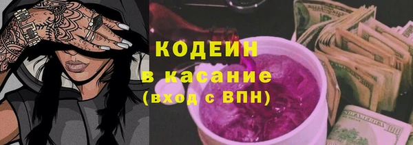 ECSTASY Богданович