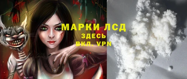 ECSTASY Богданович