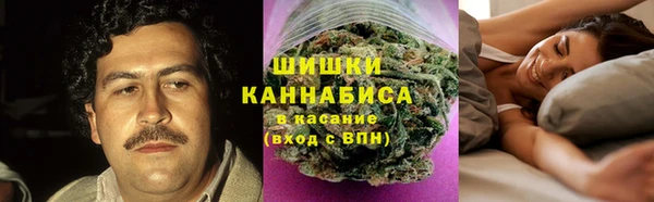ECSTASY Богданович