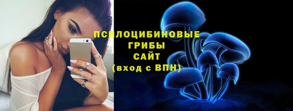 ECSTASY Богданович
