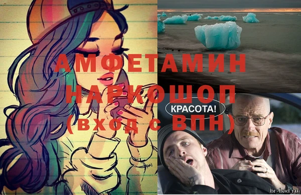 ECSTASY Богданович