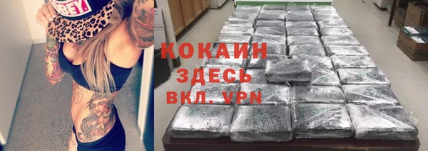 ECSTASY Богданович